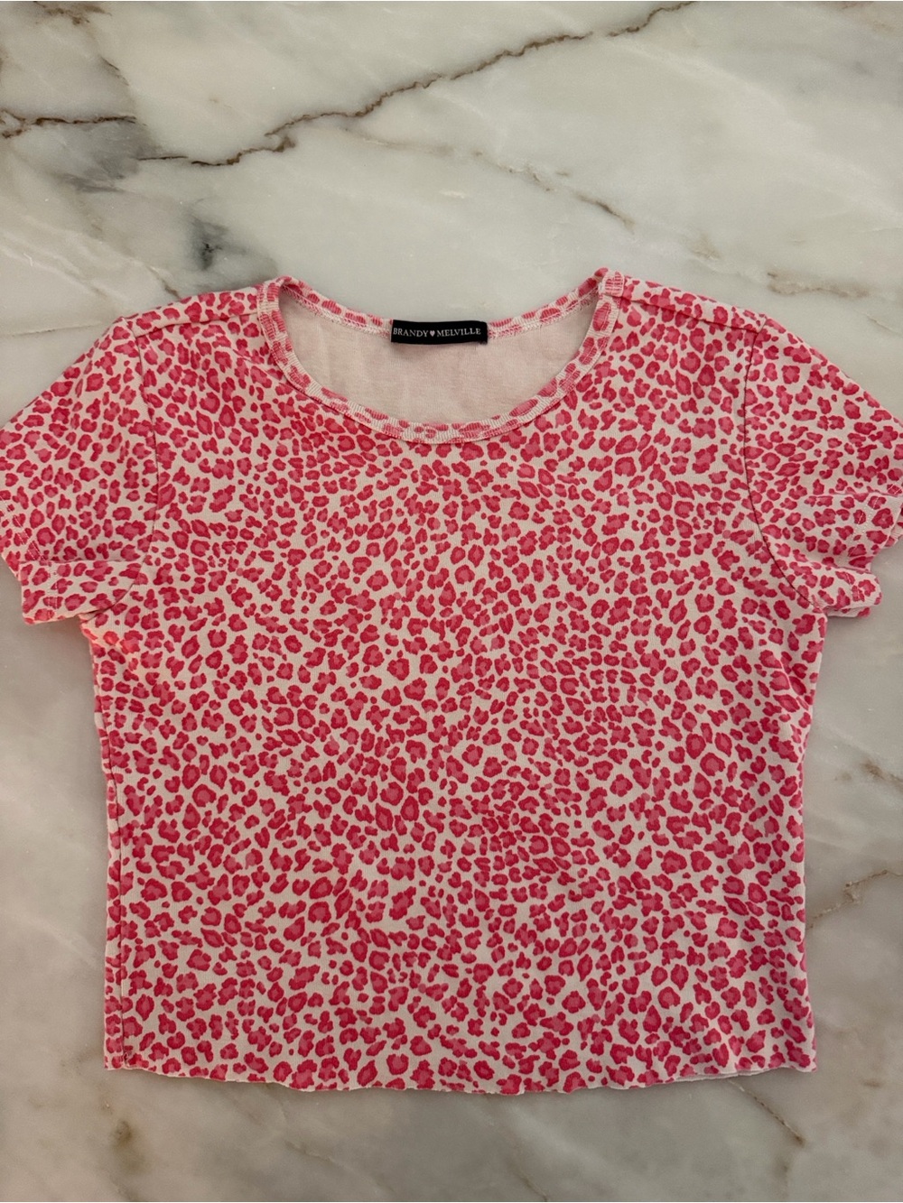 Brandy Melville Ashlyn CheetahPrint Crop Tee